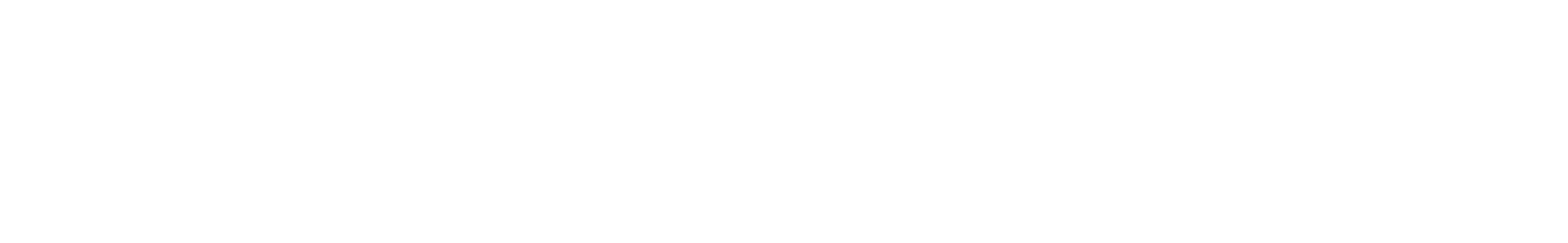 Partisipa logo